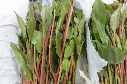 /uploads/image/2023/05/15/89286ff5e960454f35c054206a492863.jpg W020230510332407249696.jpg