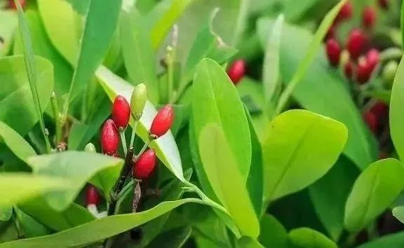 /uploads/image/2023/05/15/df264c2158ca9e12b12b8def697f4dae.jpg W020230510332406364765.jpg