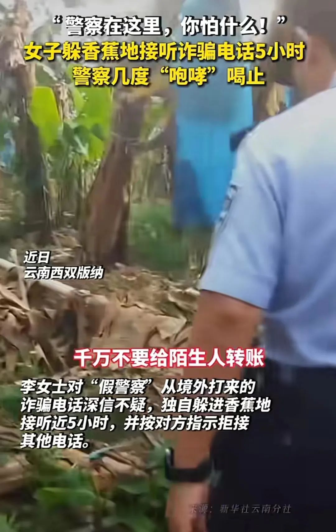 /uploads/image/2023/05/29/ac9a171055caf2e334929d196d1c5efe.jpg W020230515556586065350.jpg