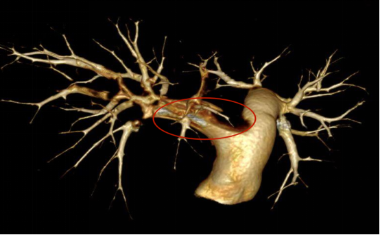 /uploads/image/2023/05/30/dd6b41cd95a253852e54e1b0e6e75a5c.jpg W020230529556610398829.jpg