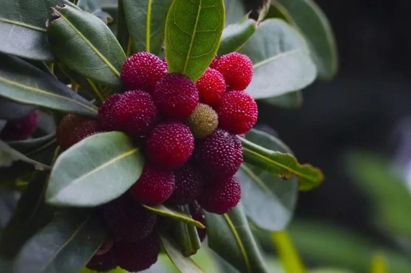 /uploads/image/2023/06/06/0dd4361682f6f1440899052f341f4703.jpg W020230605382350738097.jpg